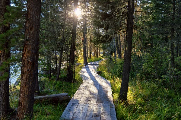 Wooden boardwalk along the lake in the mountains — Stock Photo, Image