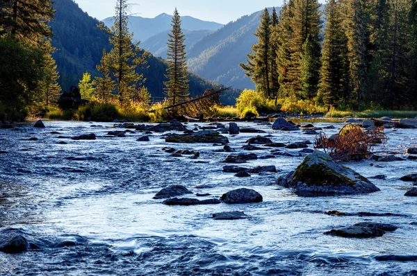 Rivière Rakhmanovskoe dans l'est du Kazakhstan — Photo