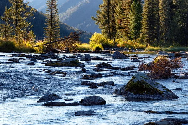 Rivière Rakhmanovskoe dans l'est du Kazakhstan — Photo