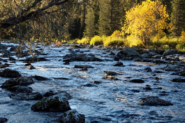 Rakhmanovskoe Fluss in Ost-Kasachstan — Stockfoto