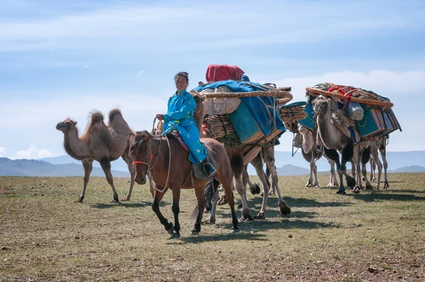 Karavana velbloudů v Mongolsku — Stock fotografie