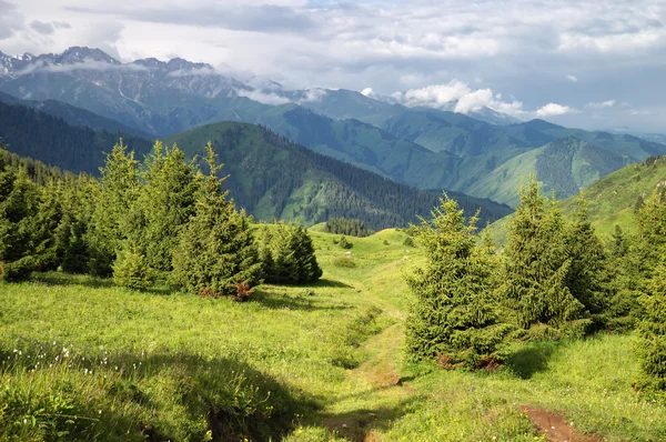 Valle in montagna d'estate — Foto Stock