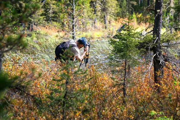 Photographer in mountain forest — Stock Photo, Image