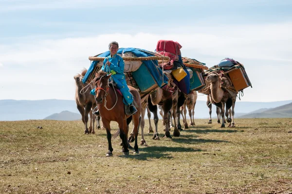 Moğolistan'da deve kervanı