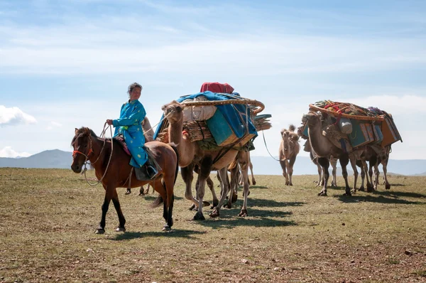 Caravana de camelos na Mongólia — Fotografia de Stock