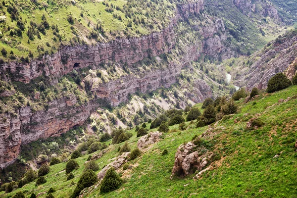 Kanion rzeki Aksu — Zdjęcie stockowe