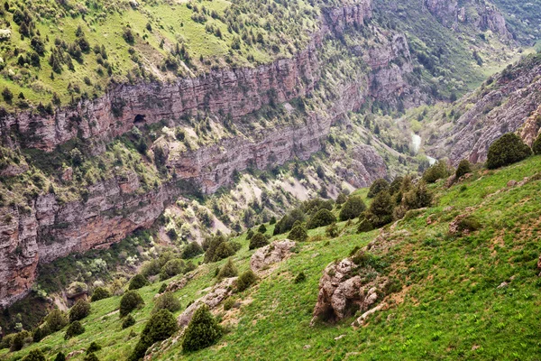 Canyon de la rivière Aksu — Photo