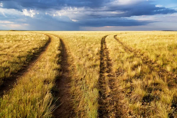 Zwei voneinander abweichende Landstraßen in der Steppe — Stockfoto