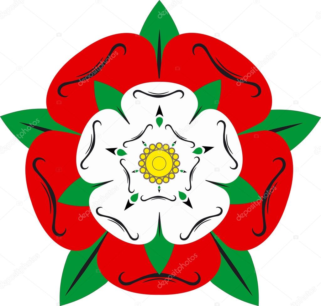 Tudor rose - Illustration