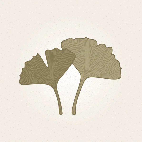 Retro hand drawn Gingko leaves isolated on brown background — Stock Vector
