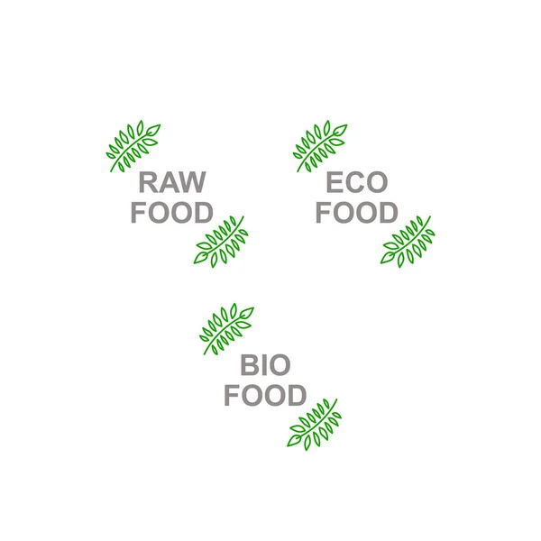 Eco Food Sign Zielonymi Liśćmi Wyizolowanymi Białym Tle — Wektor stockowy