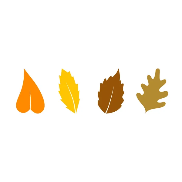 Colorful Autumn Leaves Collection Isolated White — Stock Vector