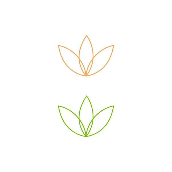 Plantas Loto Wellness Aisladas Blanco — Vector de stock