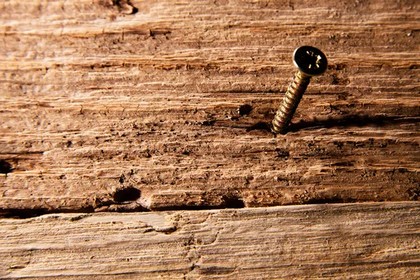 Screw in piece of old wood Stock Image