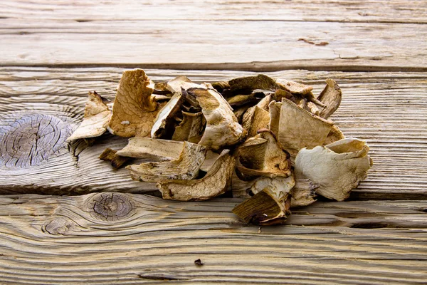 Dried porcini mashrooms — Stock Photo, Image