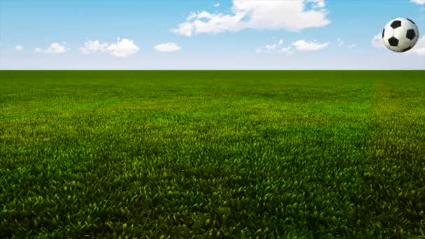 Soccer ball bouncing on green grass HD — Stock Footage Soccer ball bouncing on green grass HD Video Clip
