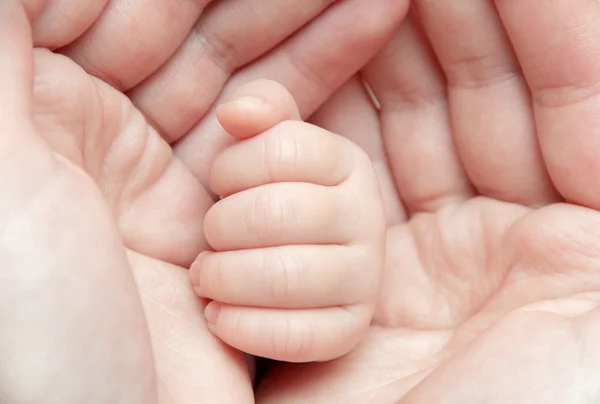 Baby hand i mors händer — Stockfoto