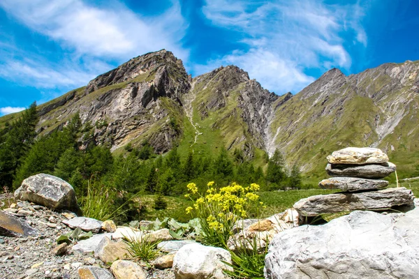 Steinfigur in den Alpen Stockbild