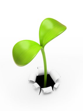 young green sprout clipart