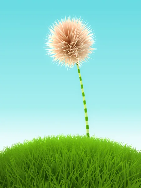 White clover flower in the grass on blue background — Stock Photo, Image