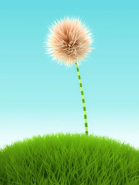Flor de trébol blanco en la hierba sobre fondo azul —  Fotos de Stock