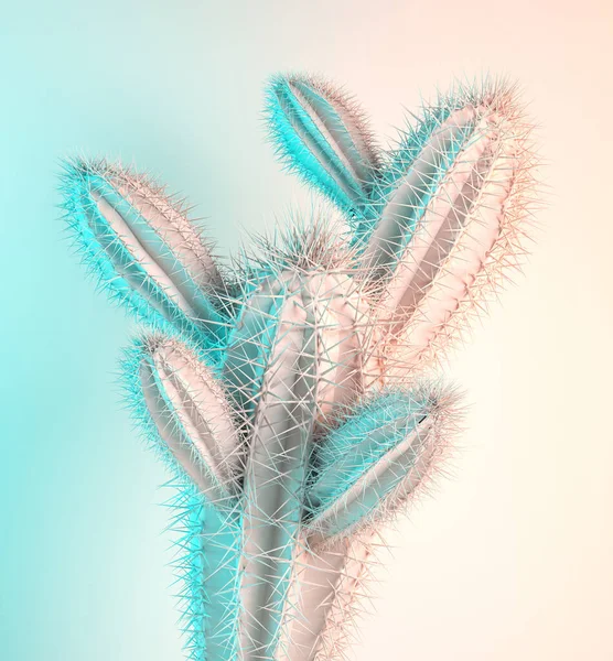 Cactus pastel colorido galeria de arte Estilo. Conceito de cactos criativos. Renovação 3D — Fotografia de Stock