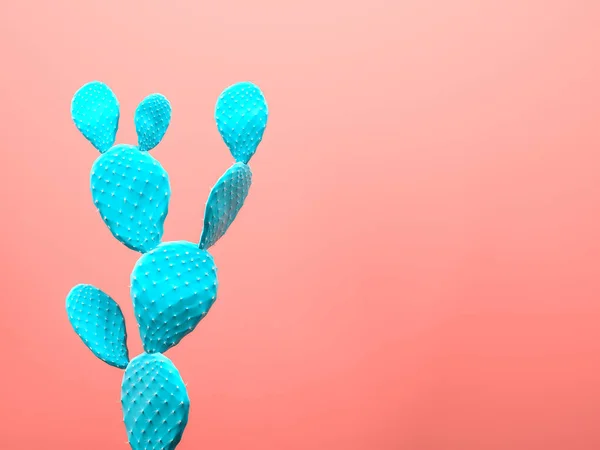 Cactus pastel gekleurde kunstgalerie Stijl. Creatief cactussen concept. 3D-herendering — Stockfoto