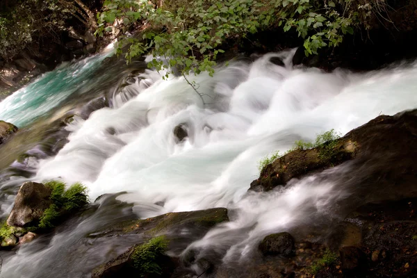 Hermon akışı doğa rezerv banias