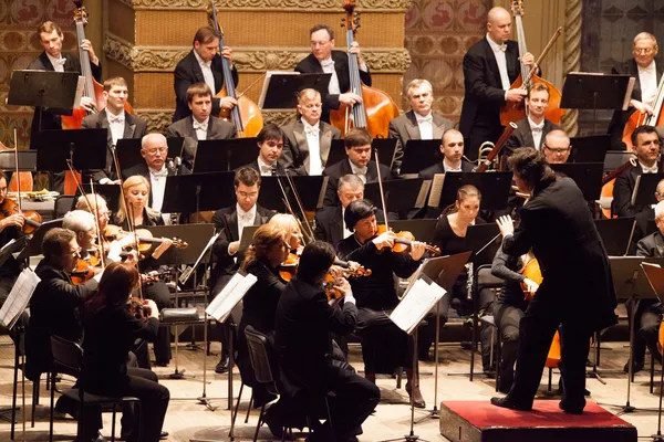 Maestro de Orquestra — Fotografia de Stock