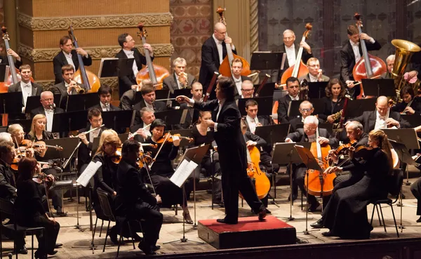 Maestro de Orquestra — Fotografia de Stock