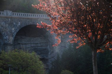 Eski taş köprü ve arka planda kızılağaç. 