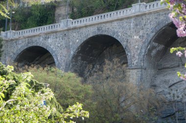 Park alanında büyük bir yaya köprüsü var. Etrafta bir sürü yeşillik var..