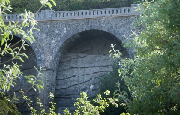 Large Stone Pedestrian Bridge Park Area Lot Greenery — Fotografia de Stock