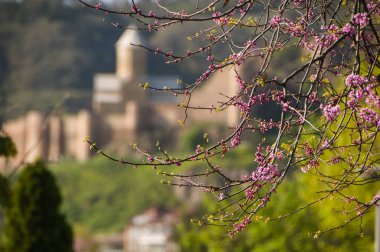 Tiflis 'teki bir dağda antik bir kale.