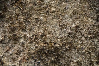 Eski bir tapınağın eski tuğla duvarı