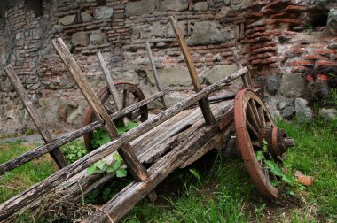 Bahçede otlarla kaplanmış harabe bir araba.. 