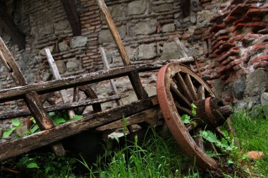 Bahçede otlarla kaplanmış harabe bir araba.. 