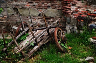 Bahçede otlarla kaplanmış harabe bir araba.. 