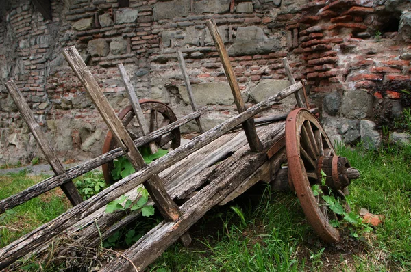 Bahçede otlarla kaplanmış harabe bir araba.. 