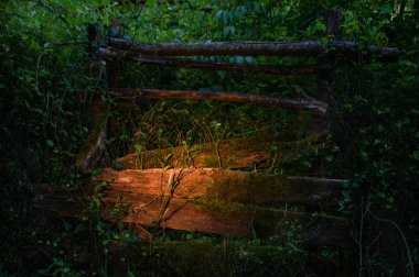 Çit dokusu arkaplanı akşam ışığı ile aydınlatılır