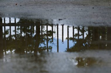 Arkaplan dokusu, ağaç ve gökyüzü birikintisindeki yansımayı bulanıklaştırdı. Yağmurdan sonra.