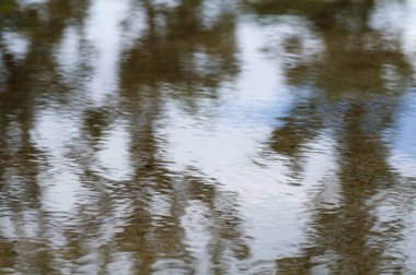 Arkaplan dokusu, ağaç ve gökyüzü birikintisindeki yansımayı bulanıklaştırdı. Yağmurdan sonra.