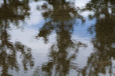 Arkaplan dokusu, ağaç ve gökyüzü birikintisindeki yansımayı bulanıklaştırdı. Yağmurdan sonra.