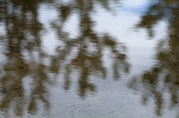 Фоновая Текстура Размыла Отражение Луже Деревьев Неба После Дождя — стоковое фото