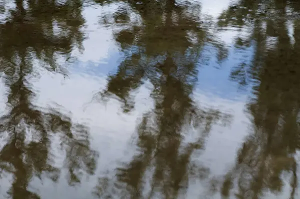 Textura Fundo Reflexão Turva Uma Poça Árvores Céu Depois Chuva — Fotografia de Stock