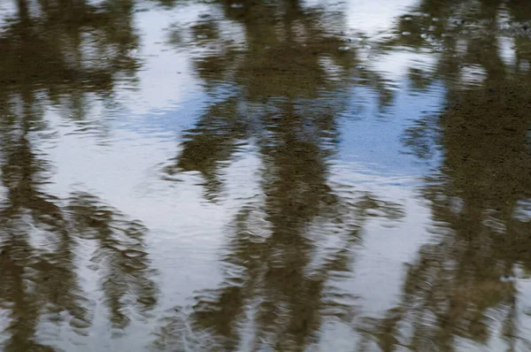 Hintergrund Textur Verschwimmt Reflexion Einer Pfütze Von Bäumen Und Himmel — Stockfoto