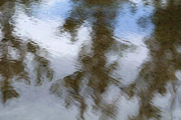 背景のテクスチャは木々や空の水たまりの中でぼやけていました 雨の後 — ストック写真