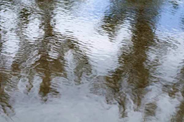 Background Texture Blurred Reflection Puddle Trees Sky Rain — Stock Photo, Image