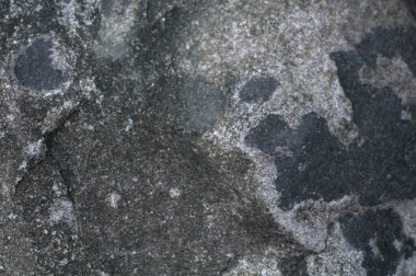 Taş gibi. Koyu taşın arka plan dokusu yakın plan. Üst manzara, Poti 'deki setten taş..