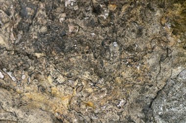 En iyi taş dokusu. Hoş desenli arka plan. Üst görüntü fotoğrafını kapat.. 